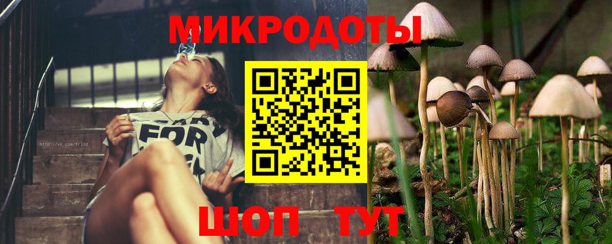 Волгоград  сколько стоит  Вход с VPN  Галлюциногенные грибы Psilocybe 